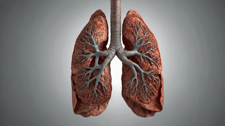 What Happens to Your Lungs After Quitting Smoking: Healing and Recovery Timeline